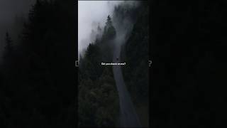 Libianca - People (Lyrics) | I've been drinking more alcohol | Aesthetic #libianca #people