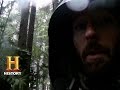 Toilet Paper Alternatives in the Woods