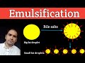 Emulsification in Lipid Digestion