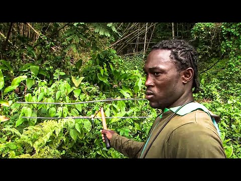 YouTube video thumbnail: Jamaica: A Paradise of Natural Beauty and Adventure