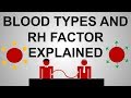 Blood Groups and Transfusion Compatibility