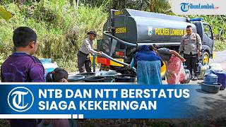 Peringatan Kekeringan Meluas ke 9 Provinsi, NTB dan NTT Berstatus Siaga