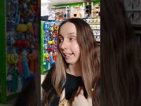 Ваш хомяк испортился #shorts