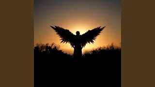 Where the Crow Flies