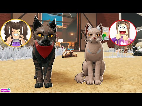 SOMOS GATINHAS VILÃS E ISOLADAS 😼😾ROBLOX