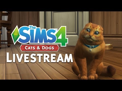 sims 4 cats and dogs product code free sims 4 cats and dogs product code free