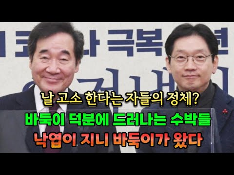 낙엽이 지니 바둑이가 왔다 ( 어쩔아재 라이브방송 )