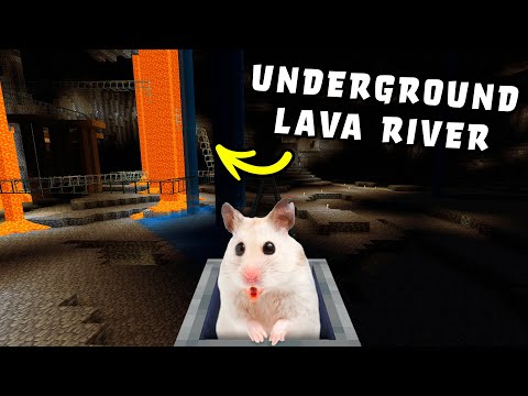 Hamster in Roller Coaster Underground & Lava River Maze 😲 in Minecraft