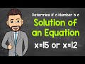 Understanding Solutions of Equations