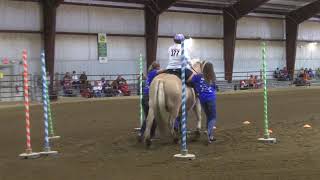 2017 State Equestrian