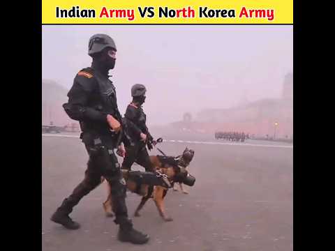 North Korea ने जो करा 😠l #shorts #indianarmy