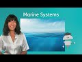 Marine Ecosystems and Saltwater Concepts