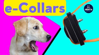 How To Properly Use An E-COLLAR On Your Dog!