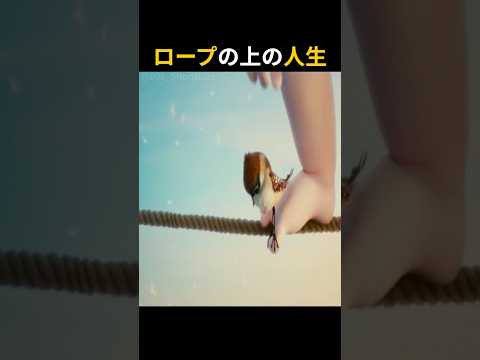 揺れる運命、ロープの上の恋