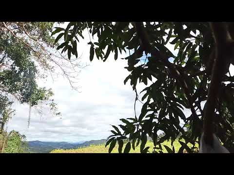 Nice view at nabburikan