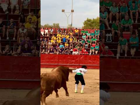 SALTO BACKFLIP IMPRESIONANTE A UN TORO BRAVO #tricks #backflip #best #champion