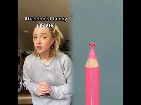 Rescue bunny update: 😭😭😭