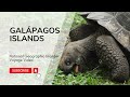 Galapagos Islands and Evolution