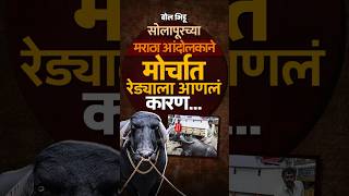 Solapur ते Mumbai, मराठा मोर्चात आंदोलकाने सोबत आणला रेडा, पण पोलिसांनी अडवलं, काय कारण सांगितलं?