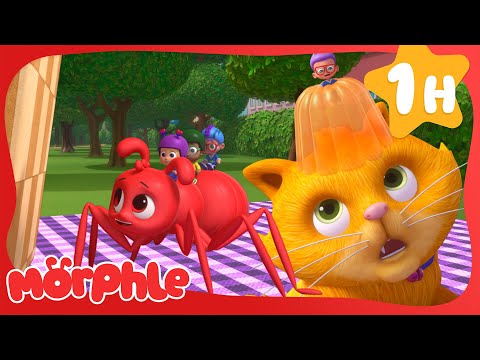 What’s in the Picnic Basket? 🧺🍓🎉 | 🔴 Morphle VS Orphle 🟢 | Fun Kids Cartoon