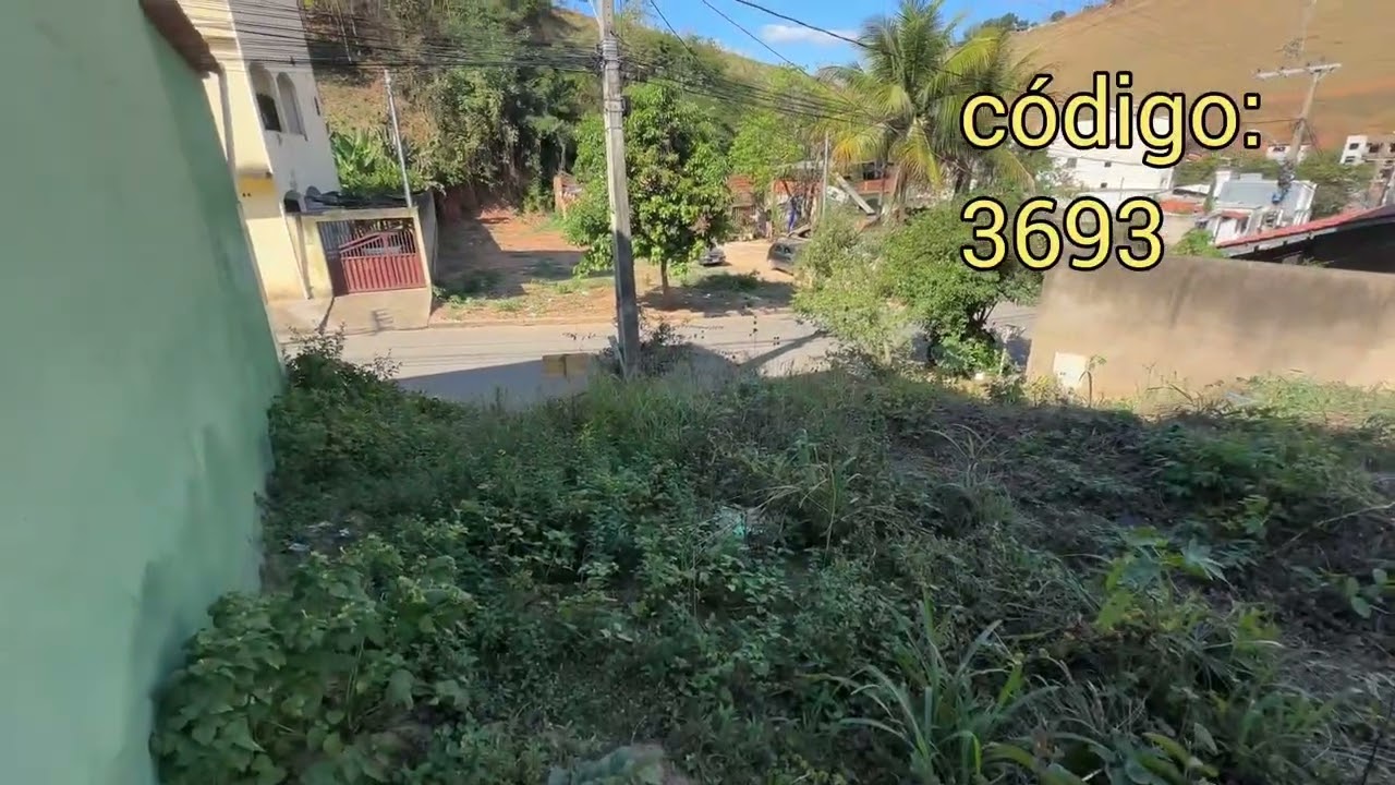 Vídeo