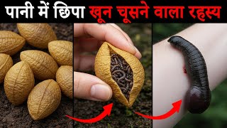 पानी में छिपा खून चूसने वाला रहस्य | जोंक का जीवन चक्र | Life Cycle of Leech in Hindi