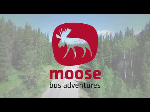 Moose Western Canada
