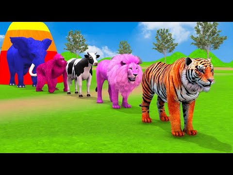 Long Slide Game With Elephant Gorilla Buffalo Hippopotamus Tiger - 3d Animal Game - Funny 3d Animals