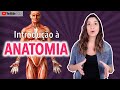 Termos e Posições Anatômicas