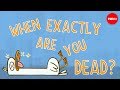 Understanding Life, Death, and Resurrection