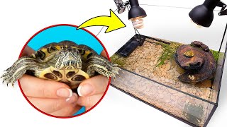 ¡Construyamos un terrario sencillo y económico para tortugas de orejas rojas! 🐢🏝️