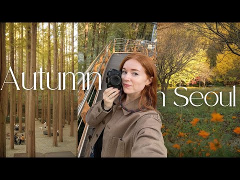 autumn with my new camera in seoul and daejeon 🍂📷 a few days of my life in korea VLOG