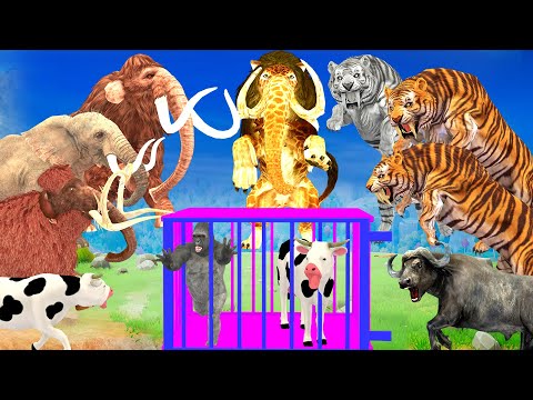 5 Giant Elephant Cow vs 5 Giant Tiger Monster Lion Attack Gorilla Cow Cartoon Saved by Woolly Mammot