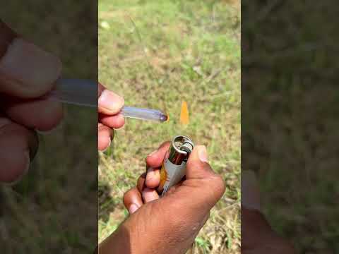 jungle survival swimming glasses