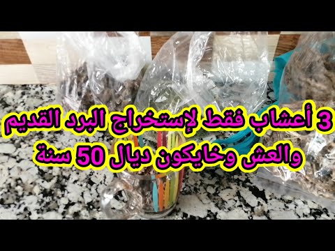 العشوب لي غدي تحيد ليك العش ديال البرد القديم وخا يكون ديال 50 سنة.