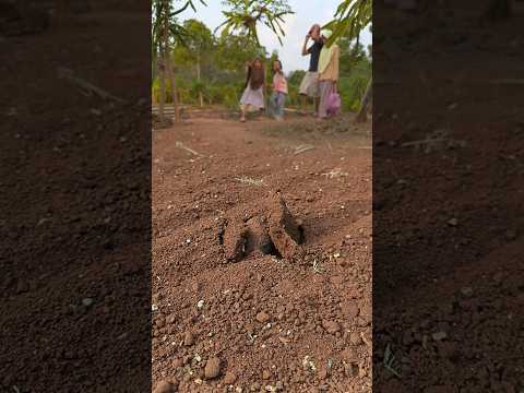 saat mau ke kebun,semuanya kaget dan lari ketakutan melihat boneka kecil #shorts #prank #trending