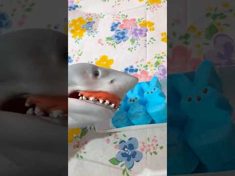 shark puppet eats peeps
