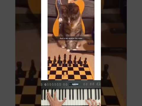 DON'T CHECK THIS SOUND 😂 #piano #funny #memes