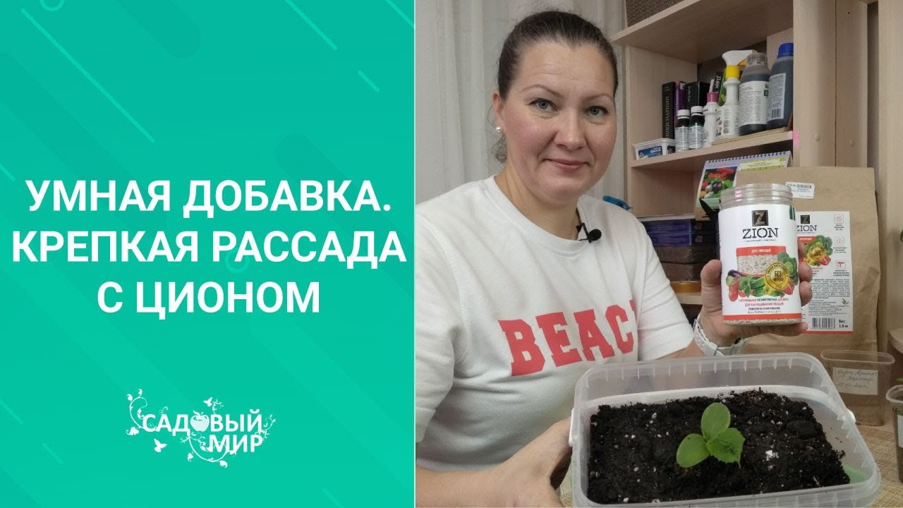УДОБРЕНИЯ ИЗ КОСМОСА - ХИТ для САДОВОДОВ! Один раз подкормил и забыл: тестируем умную добавку ЦИОН