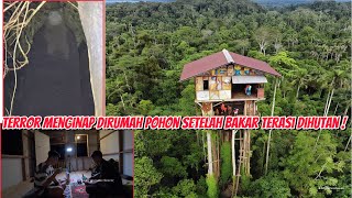 SOSOK HITAM SETINGGI POHON KELUAR DARI HUTAN~NEKAD BAKAR TERASI~MENGINAP DIRUMAH POHON DIHUTAN.
