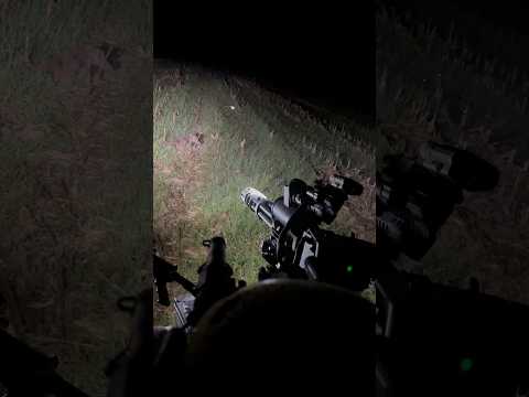โThe laserโs onโฆโ #feralhog #eradication #texas