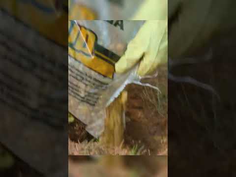 Ошибка Которую Делают Почти Все При Установке Забора