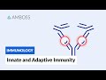 Immune System Response Concepts