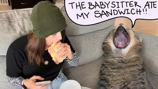 Oh boy! Penny roasts me and the babysitter eats her sandwich?!