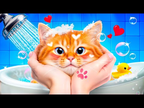J'ai Sauvé un Petit Chaton Sans Abri! Comment Prendre soin de tes Animaux de Compagnie!