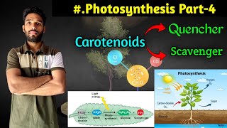 Photosynthesis Part-4 || Photosynthetic Carotenoids function || BSc || MSc || NEET || CSIR NET