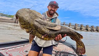After 247 DAYS, We Finally Got The RIVER MONSTER! 