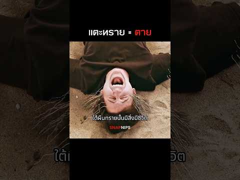 หนัง : The Sand (2015) #รีวิวหนัง #สปอยหนัง #หนัง