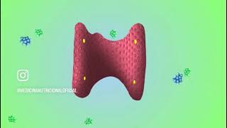 Conoce el sistema endocrino