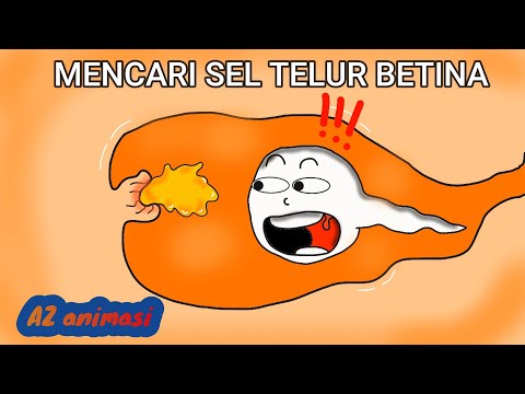 MENCARI SEL TELUR BETINA